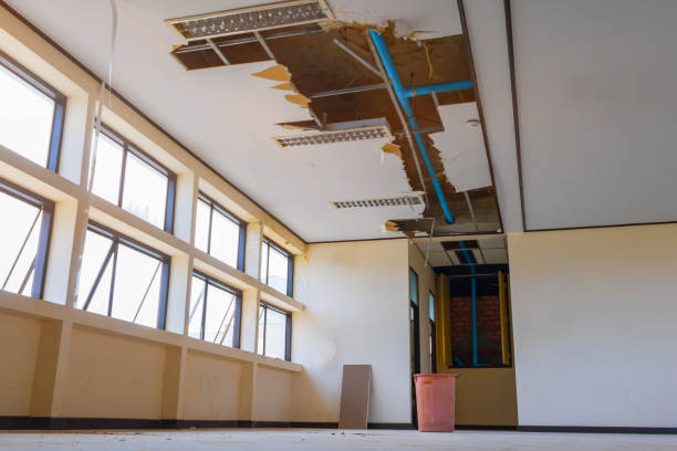 Best Mold removal after water damage  in Morgan City, LA