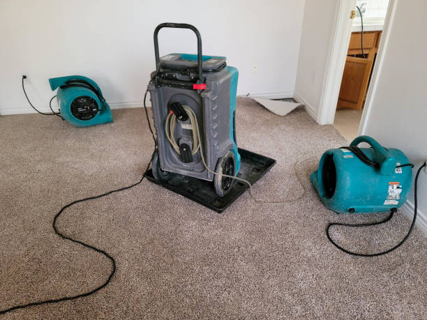 Best Flood restoration services  in Morgan City, LA