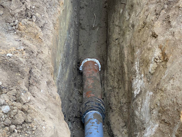 Best 24/7 water damage repair  in Morgan City, LA