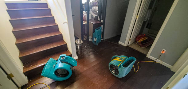 Best Carpet water damage restoration  in Morgan City, LA