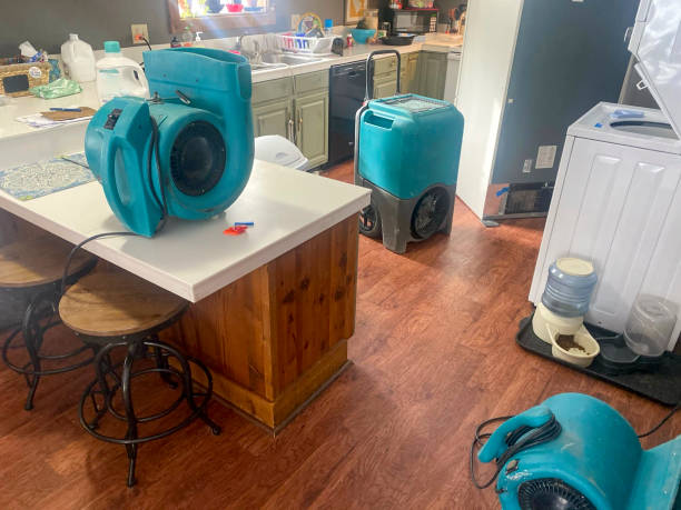 Best Fire Damage Restoration  in Morgan City, LA