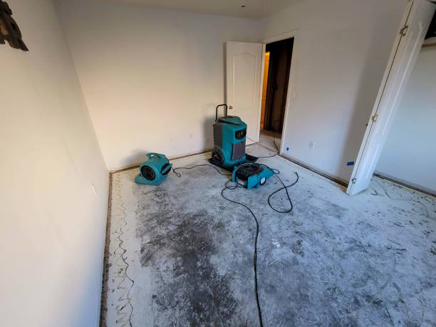 Best Emergency water damage restoration  in Morgan City, LA