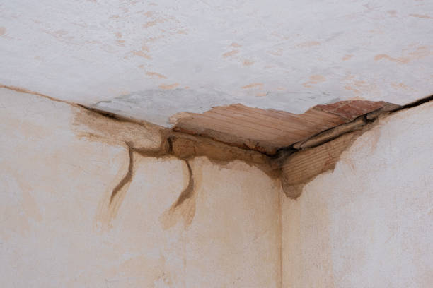 Best Residential water damage restoration  in Morgan City, LA