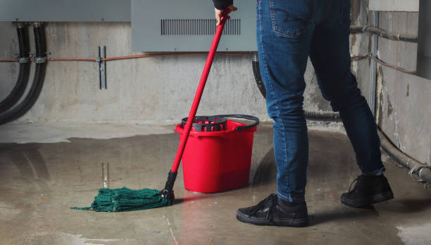 Best Basement water damage restoration  in Morgan City, LA