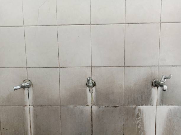 Best Professional water damage repair  in Morgan City, LA