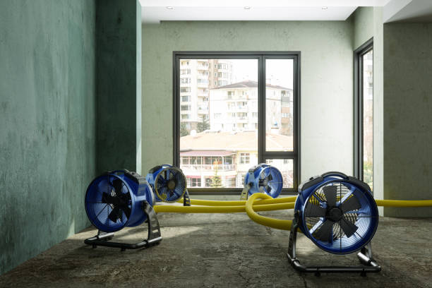Best Flood restoration services  in Morgan City, LA