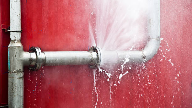 Best Water damage restoration near me  in Morgan City, LA