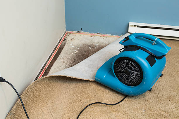 Best Water damage restoration near me  in Morgan City, LA